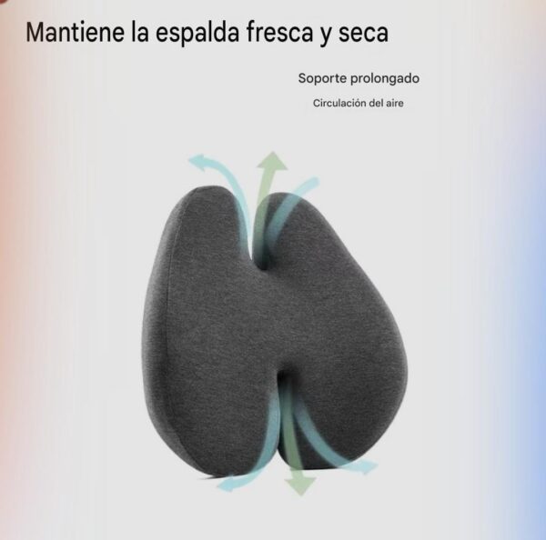 RESPALDO H - Imagen 6
