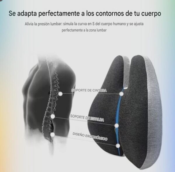 RESPALDO H - Imagen 4